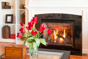 closeup of a jar of roses in front of a fireplace